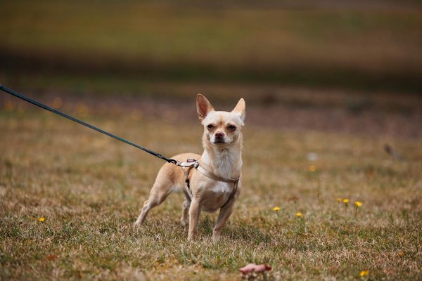 Explorando los eventos recientes que están moldeando el porvenir
