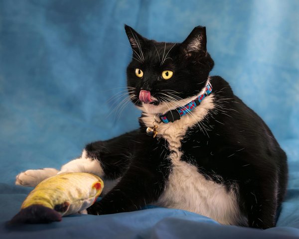 El porvenir del deporte en españa: tendencias y avances para 2024